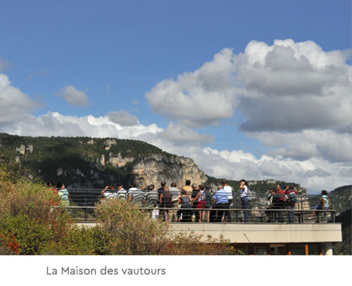 Maison des vautours Aveyron